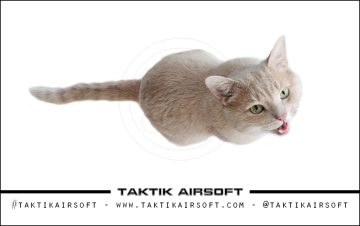 Titan the Cat Tactical Feline Weapons Platform